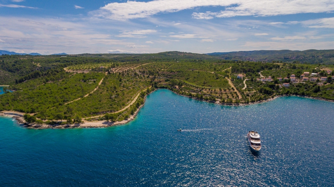 Black Swan | Croatia Holidays